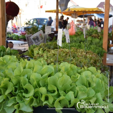 20220326_100600512_ios