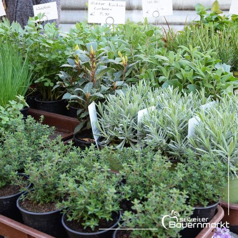 20220326_100609014_ios